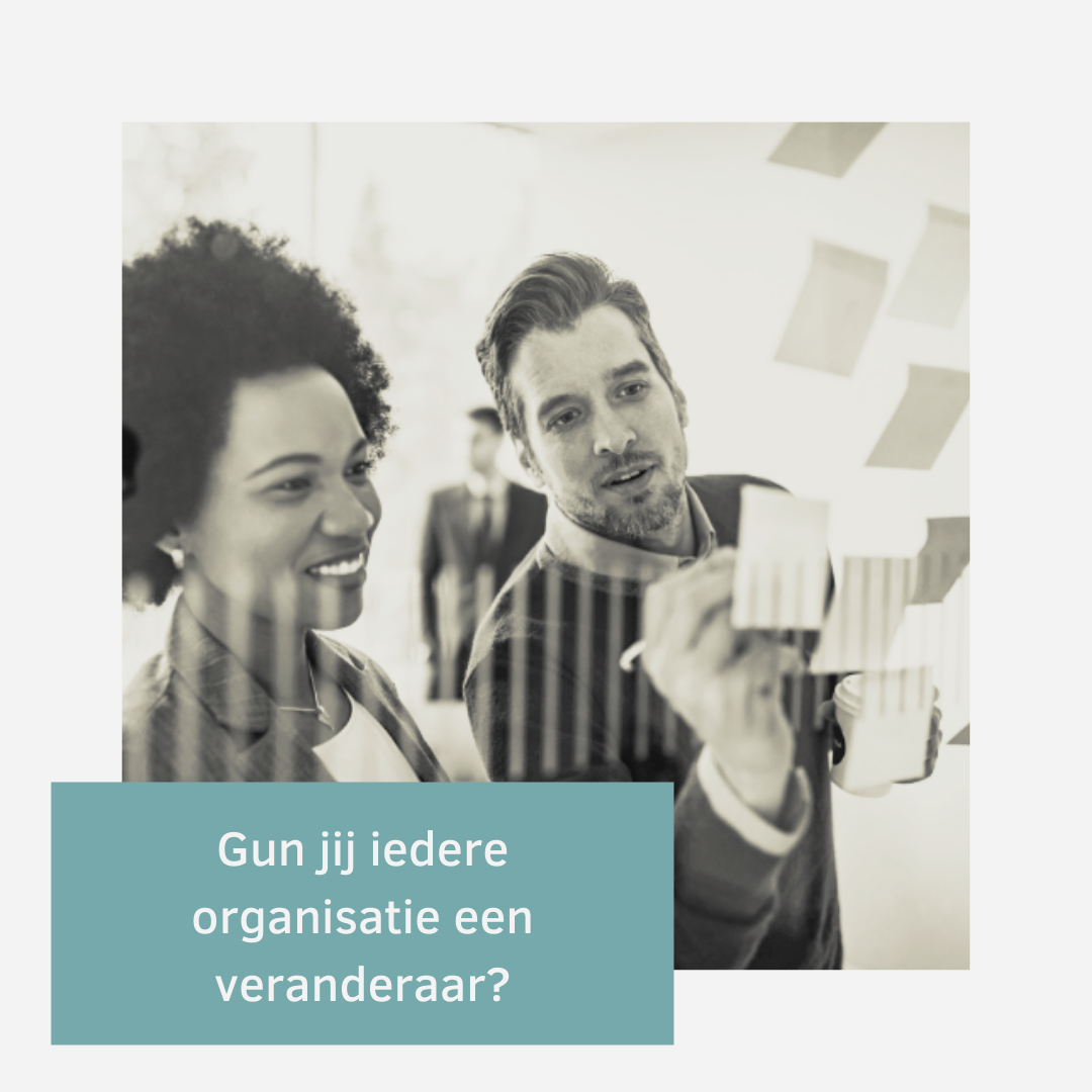 Gun jij iedere organisatie een veranderaar?