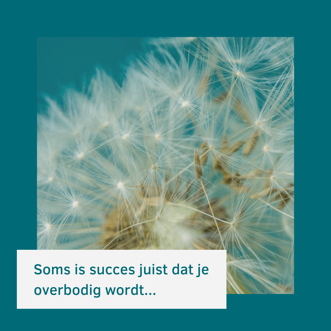Soms is succes juist dat je overbodig wordt…